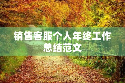 销售客服个人年终工作总结范文