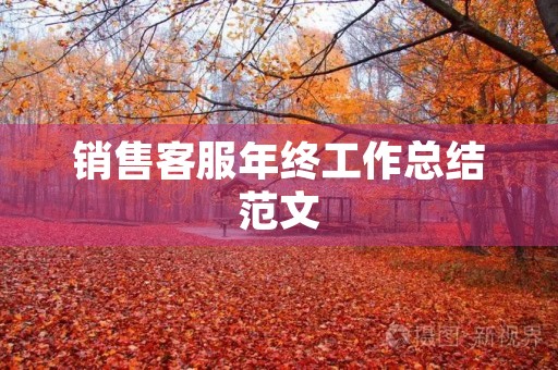 销售客服年终工作总结范文