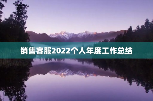 销售客服2022个人年度工作总结