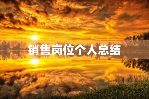 销售岗位个人总结【6篇】