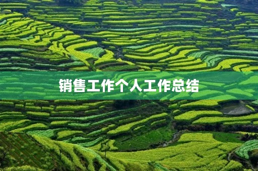 销售工作个人工作总结