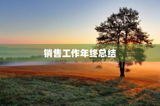 销售工作年终总结【精选】