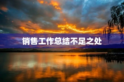 销售工作总结不足之处