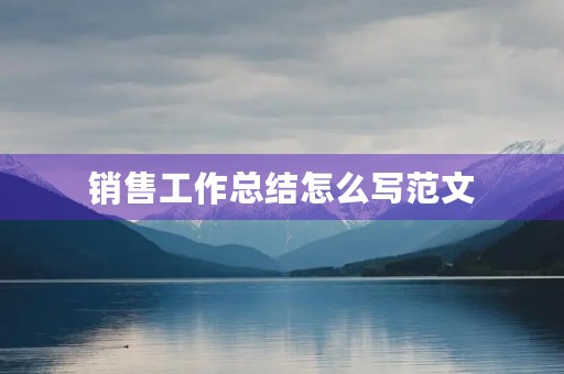 销售工作总结怎么写范文