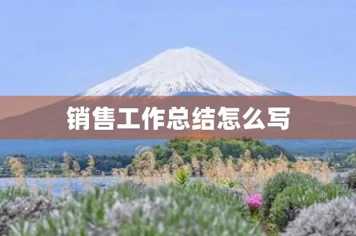 销售工作总结怎么写
