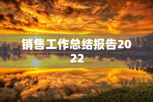 销售工作总结报告2022