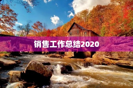 销售工作总结2020