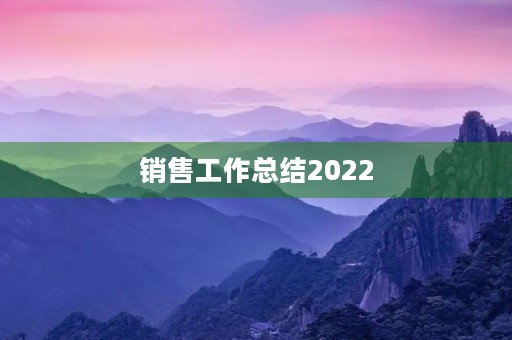 销售工作总结2022