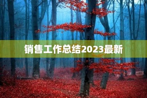 销售工作总结2023最新(13篇)