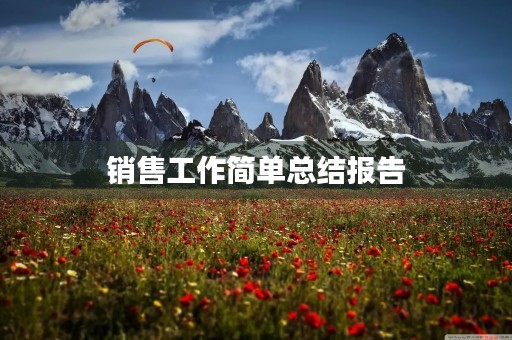 销售工作简单总结报告