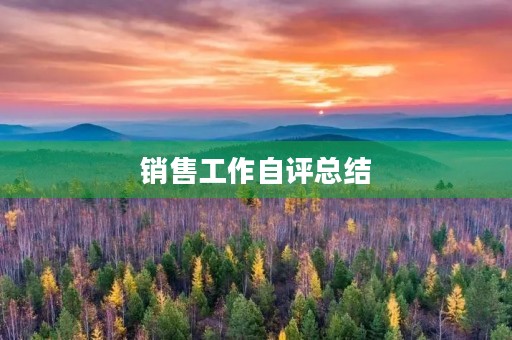 销售工作自评总结