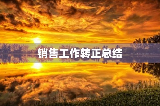 销售工作转正总结