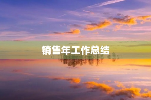 销售年工作总结