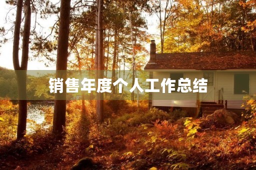 销售年度个人工作总结