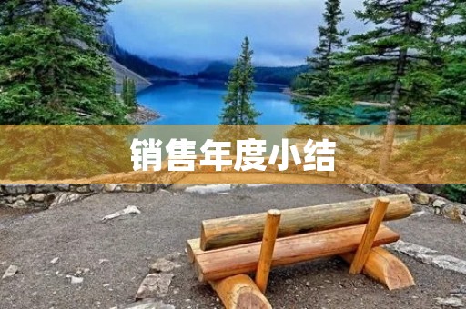 销售年度小结
