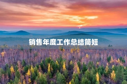 销售年度工作总结简短(7篇)