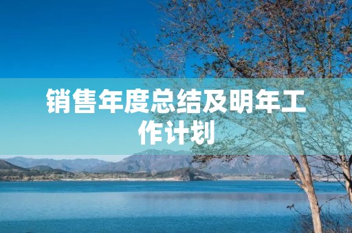 销售年度总结及明年工作计划