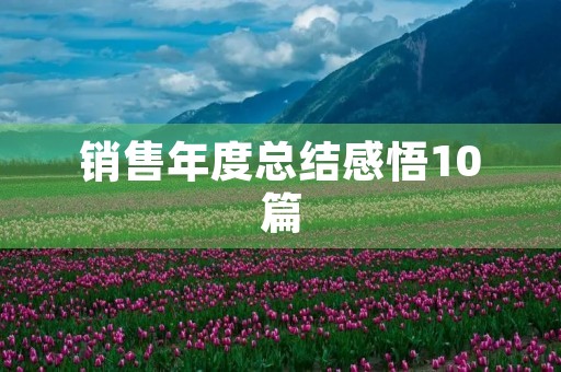 销售年度总结感悟10篇
