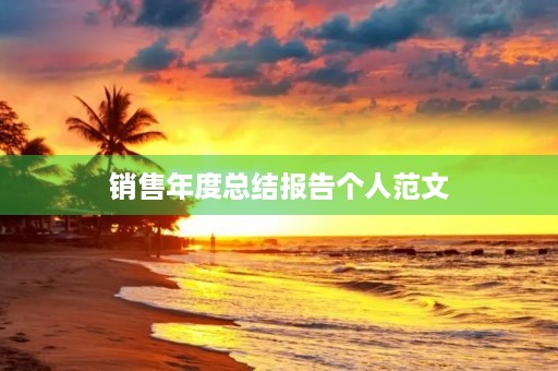 销售年度总结报告个人范文