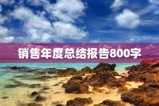 销售年度总结报告800字