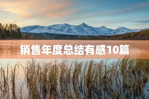 销售年度总结有感10篇