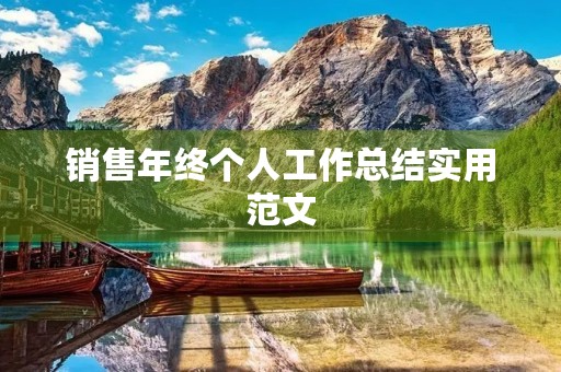 销售年终个人工作总结实用范文