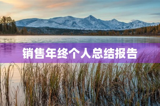 销售年终个人总结报告（17篇）