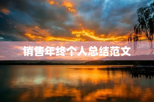 销售年终个人总结范文（15篇）