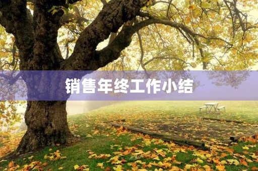 销售年终工作小结