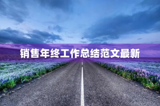 销售年终工作总结范文最新