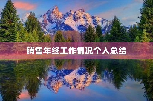 销售年终工作情况个人总结
