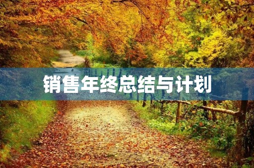销售年终总结与计划