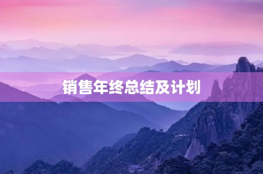 销售年终总结及计划