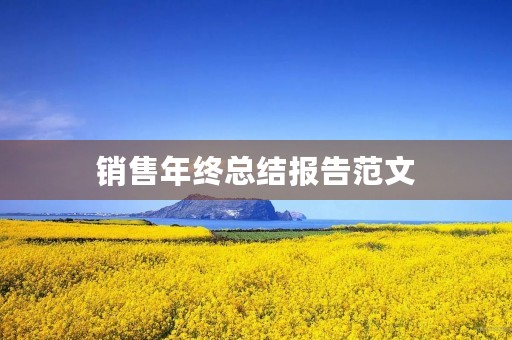 销售年终总结报告范文