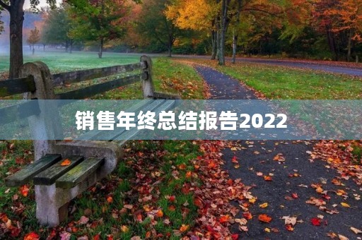 销售年终总结报告2022