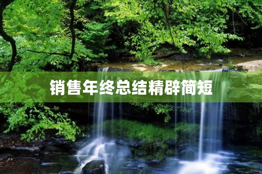 销售年终总结精辟简短