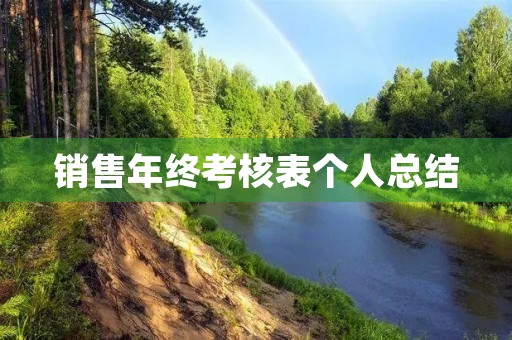 销售年终考核表个人总结