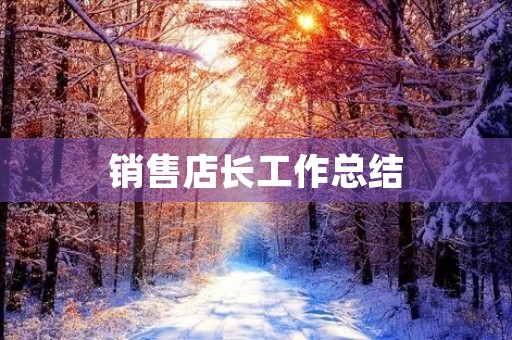 销售店长工作总结 销售店长工作总结