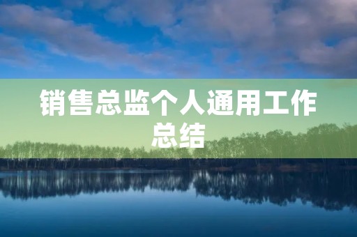 销售总监个人通用工作总结