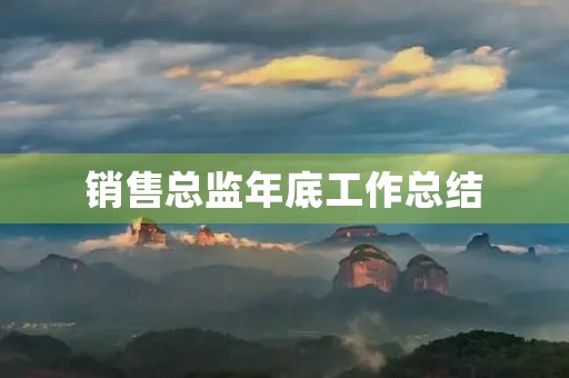 销售总监年底工作总结