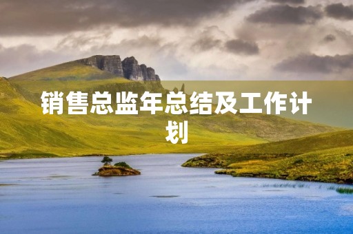 销售总监年总结及工作计划