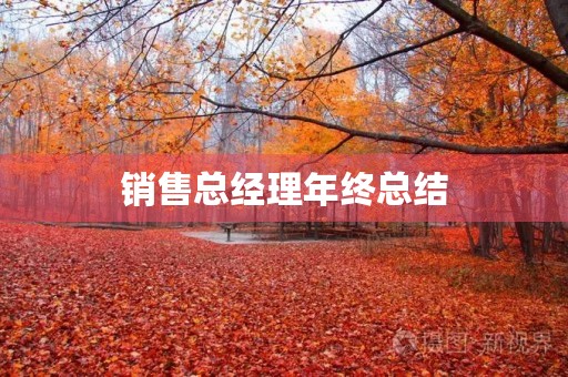 销售总经理年终总结 销售总经理年终总结