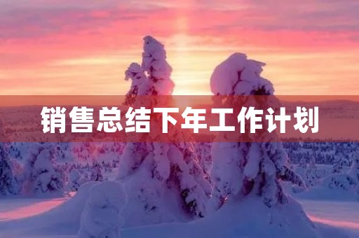 销售总结下年工作计划