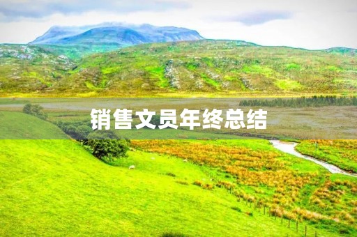 销售文员年终总结