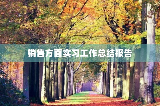 销售方面实习工作总结报告