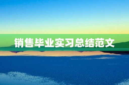 销售毕业实习总结范文 销售毕业实习总结范文