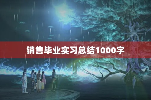 销售毕业实习总结1000字