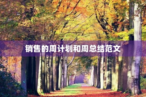 销售的周计划和周总结范文