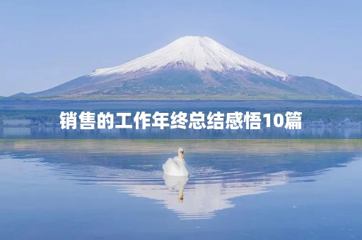 销售的工作年终总结感悟10篇