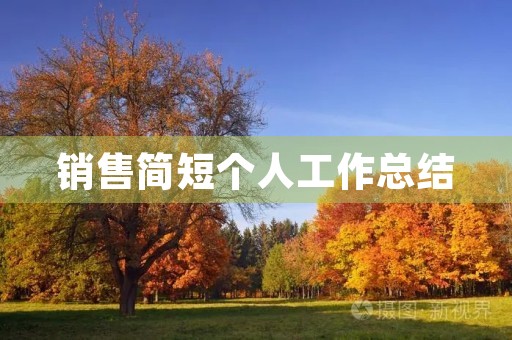 销售简短个人工作总结
